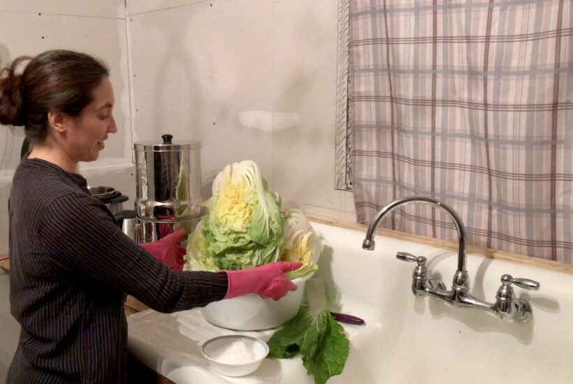 woman in kitchen preparing napa cabbage